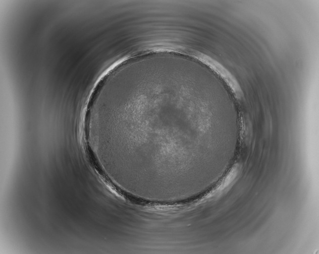 X0000087630782200705101027