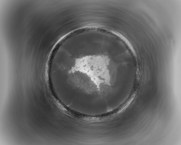 X0000087630783200705101027