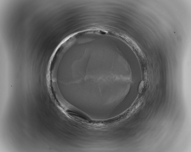 X0000087630784200705101027