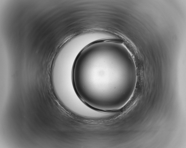 X0000087630785200705101027