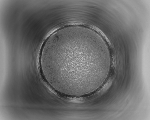 X0000087630786200705101027