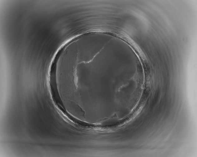 X0000087630787200705101027