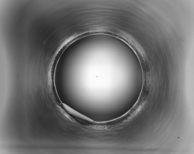 X0000087630789200705101027