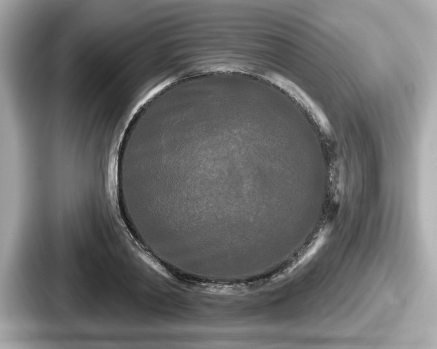 X0000087630790200705101027