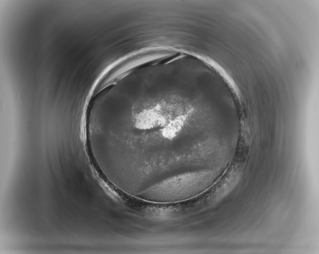 X0000087630791200705101027