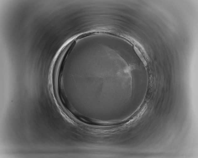 X0000087630792200705101026