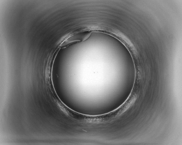 X0000087630793200705101026