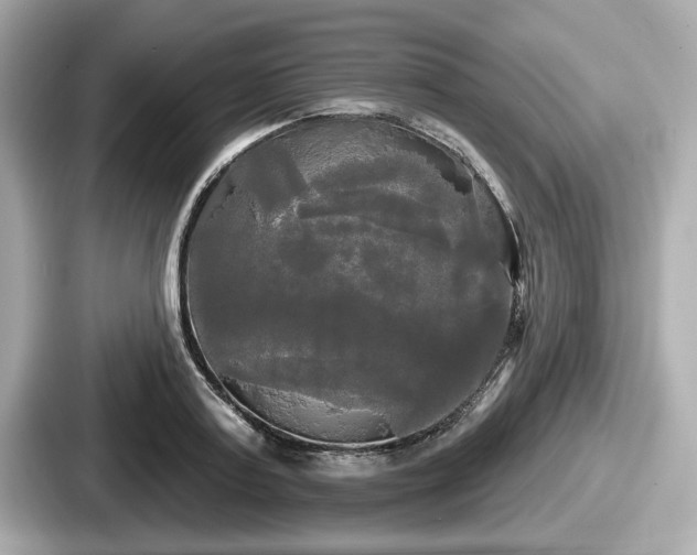 X0000087630795200705101026