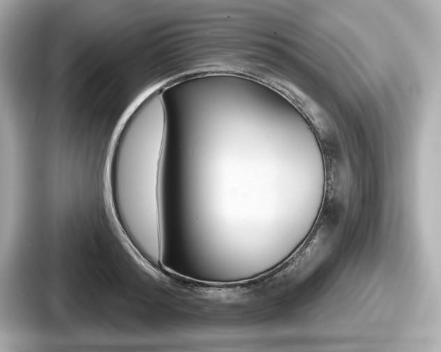 X0000087630796200705101026