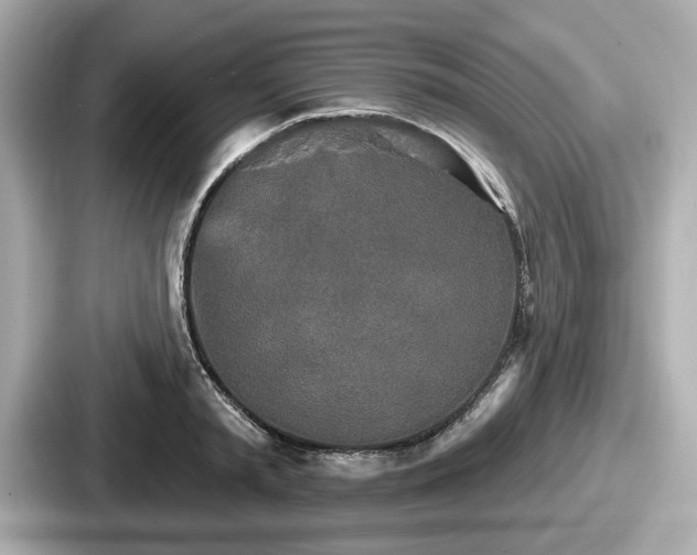 X0000087630797200705101026