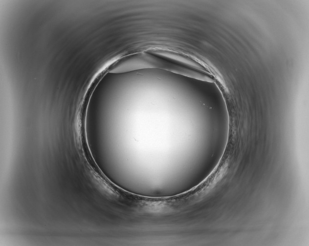 X0000087630798200705101026