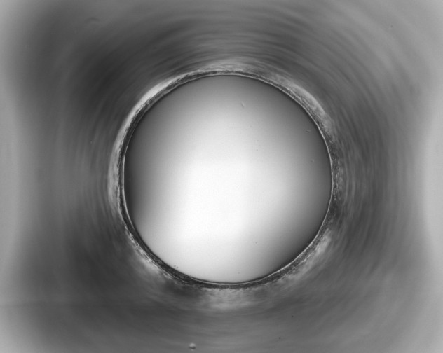 X0000087630800200705101026