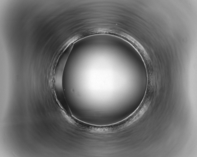 X0000087630801200705101026