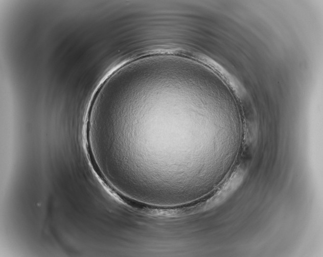 X0000087630802200705101026