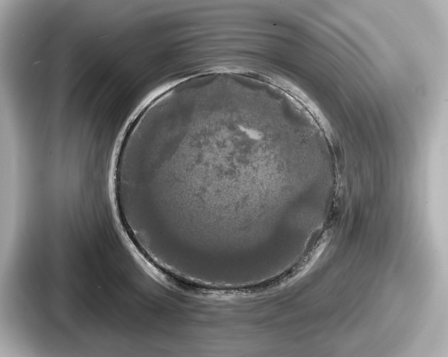 X0000087630803200705101026