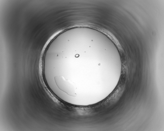 X0000087630804200705101026