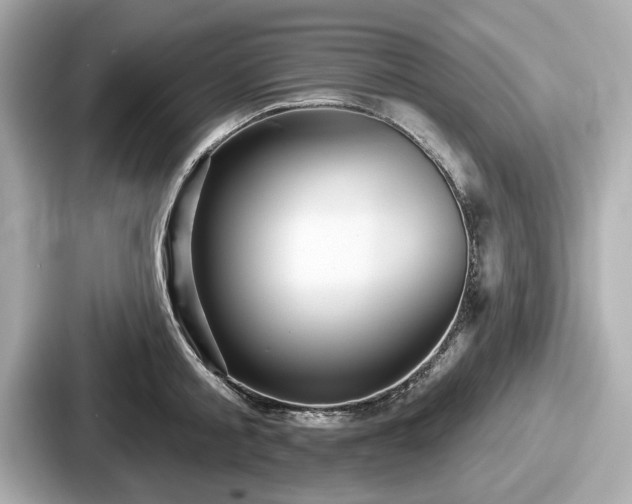 X0000087630805200705101026