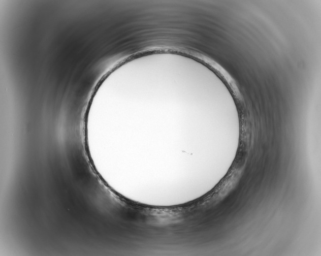 X0000087630807200705101026