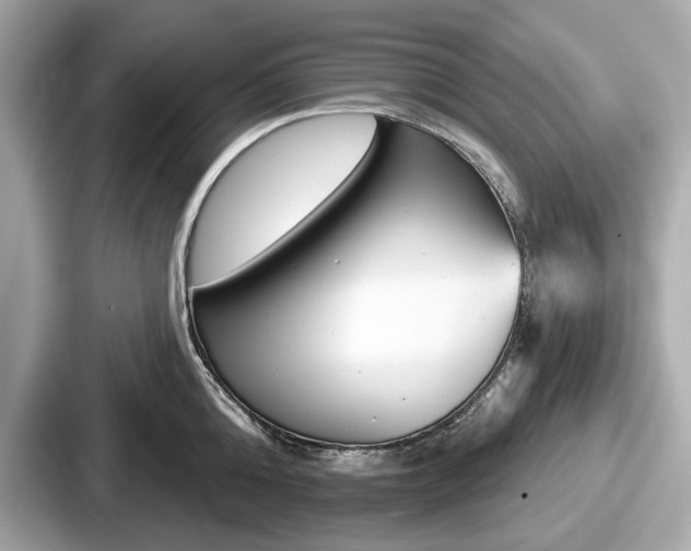 X0000087630808200705101026