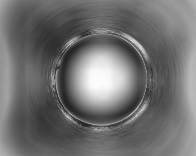 X0000087630809200705101026