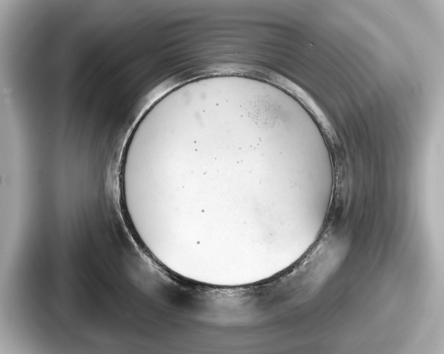 X0000087630810200705101026