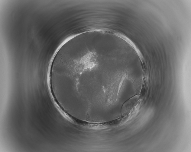 X0000087630811200705101026