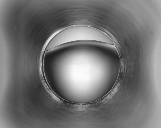 X0000087630812200705101026