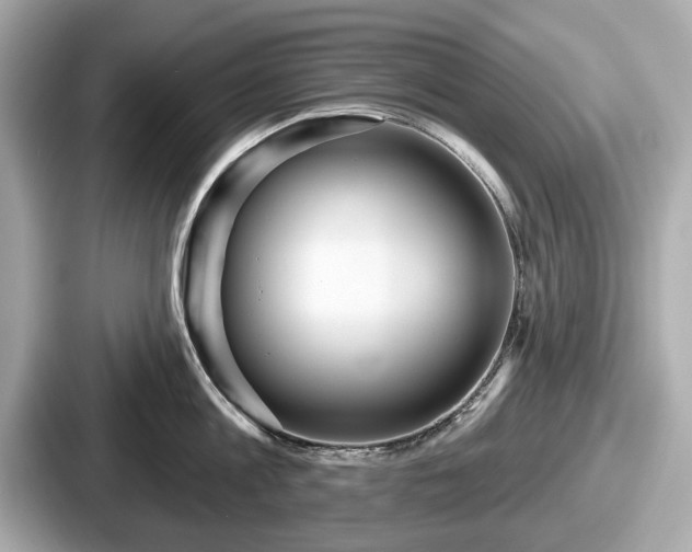 X0000087630813200705101026