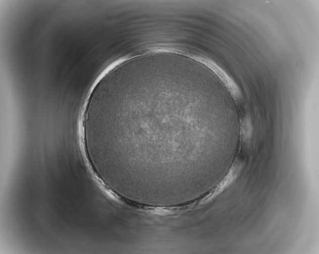 X0000087630814200705101026