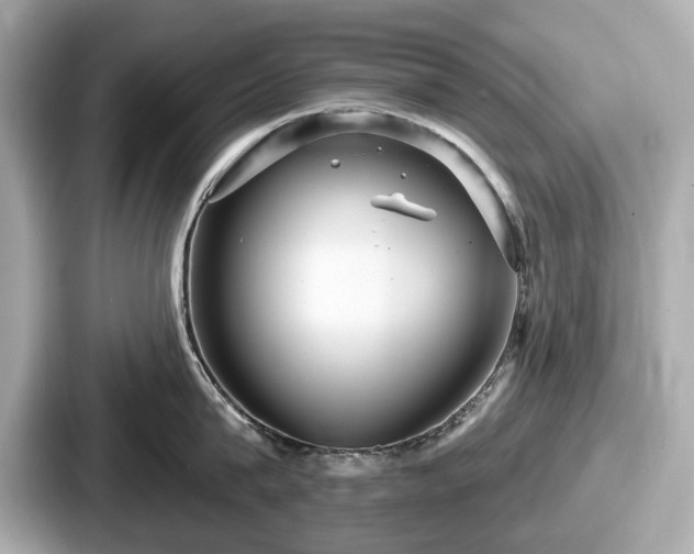 X0000087630815200705101026