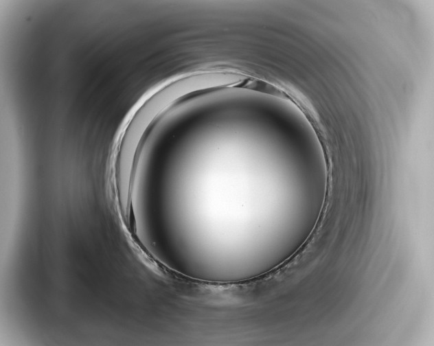 X0000087630816200705101026