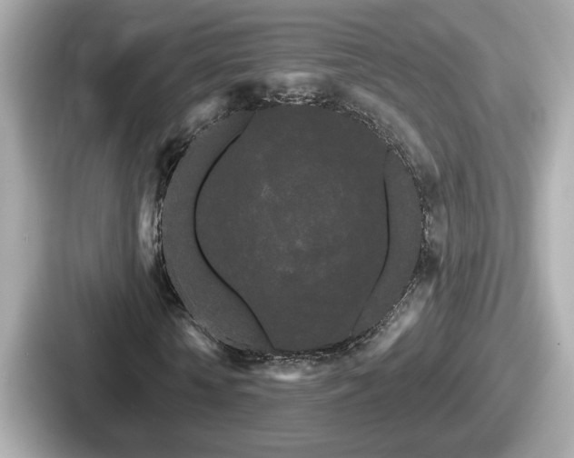 X0000087630818200705101026