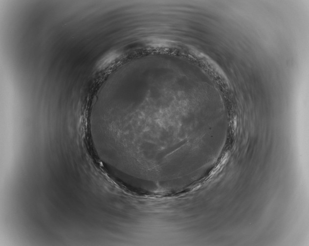 X0000087630821200705101026