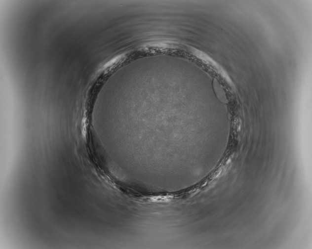 X0000087630822200705101026