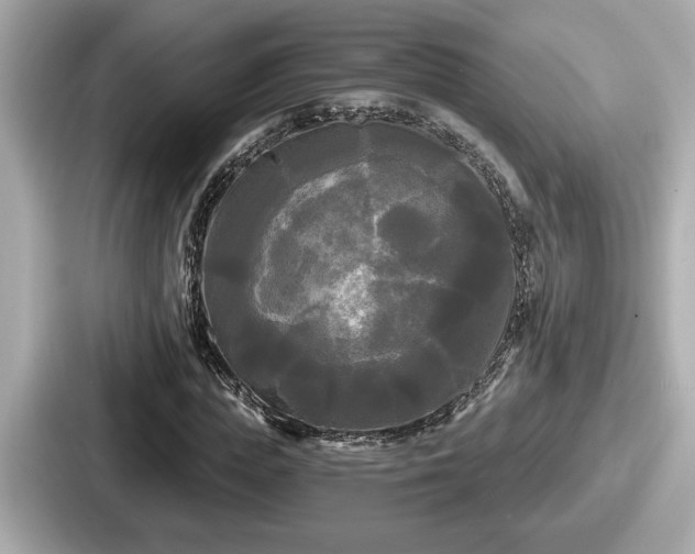 X0000087630823200705101026