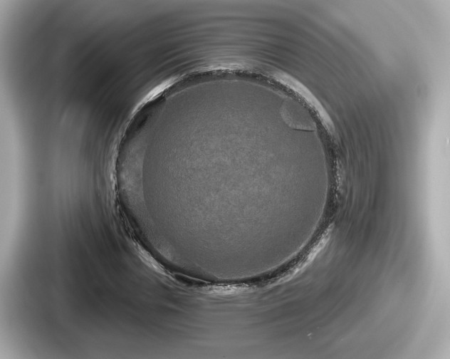 X0000087630826200705101026