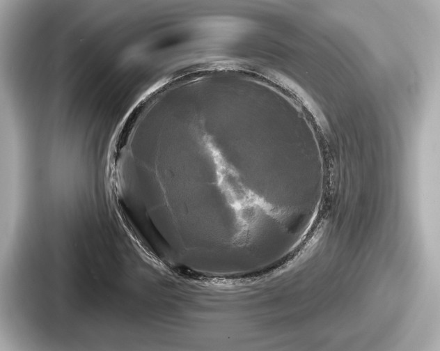 X0000087630827200705101026