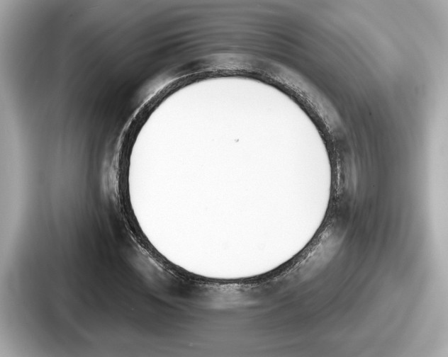 X0000087630828200705101026