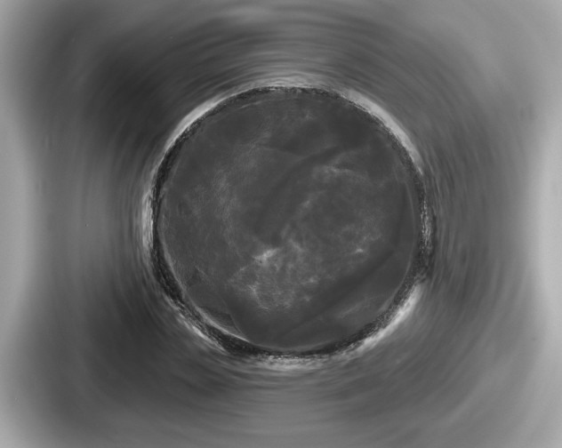 X0000087630829200705101026