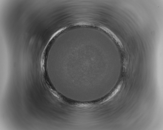 X0000087630830200705101026