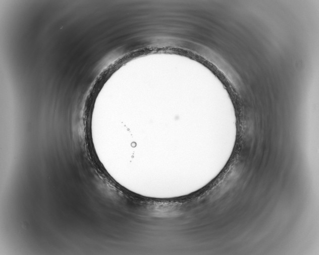 X0000087630832200705101026