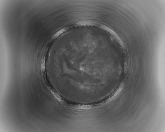 X0000087630833200705101026