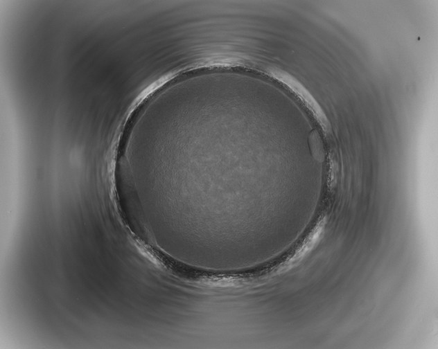 X0000087630834200705101026