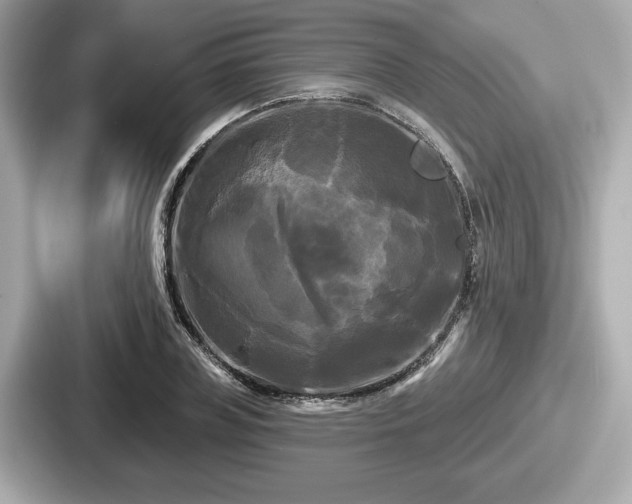 X0000087630835200705101026