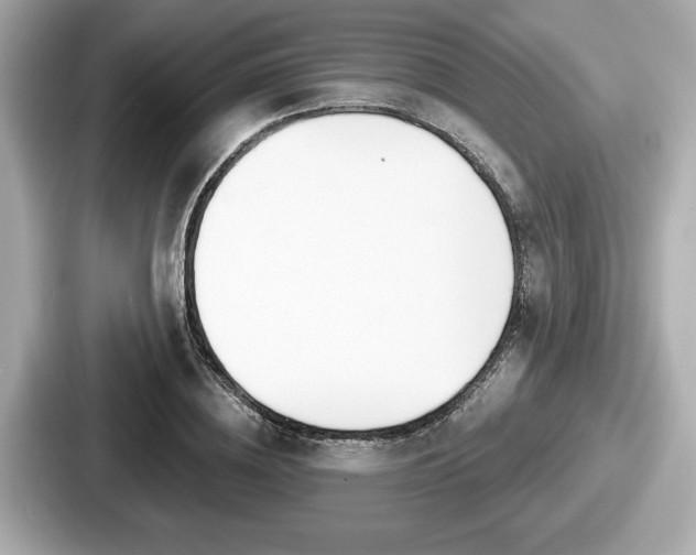 X0000087630836200705101026