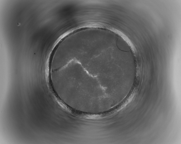 X0000087630837200705101026