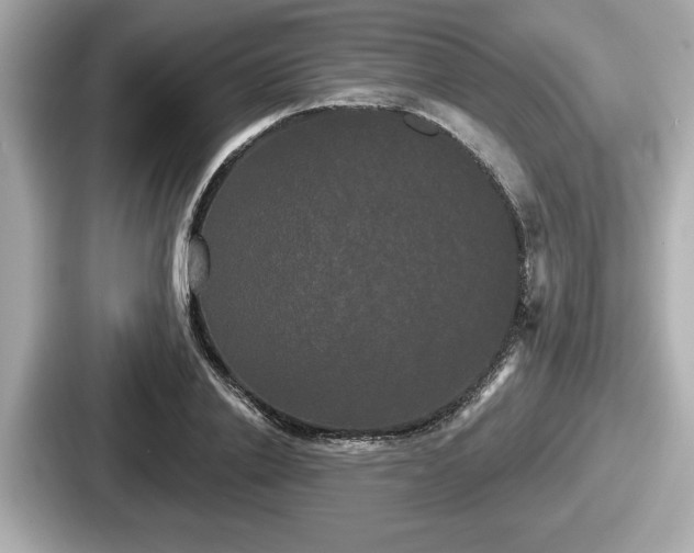 X0000087630838200705101026