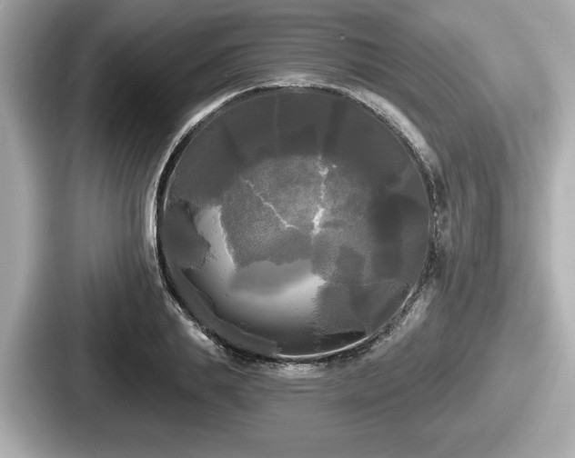 X0000087630839200705101026