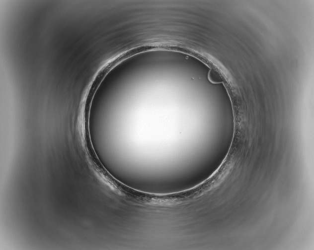 X0000087630840200705101026