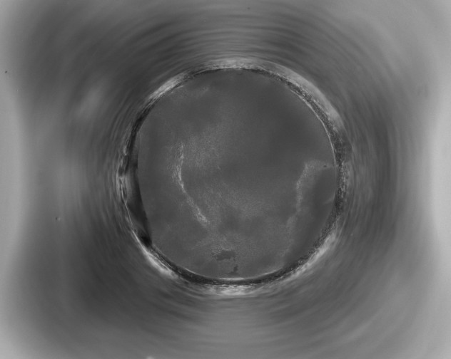 X0000087630841200705101026